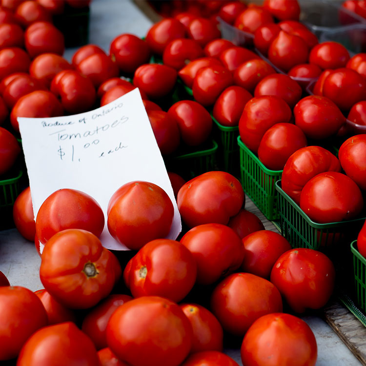 Milton Farmers Market