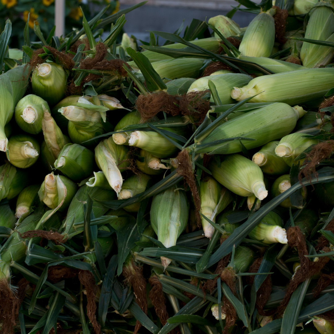 farmers' Market corn