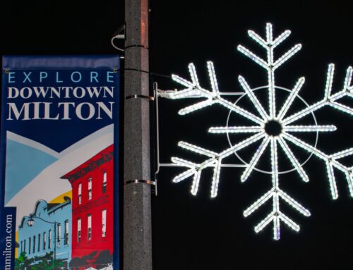 Light Up The Winter Nights 2025