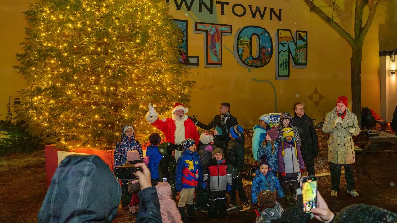 DMBIA Tree Lighting