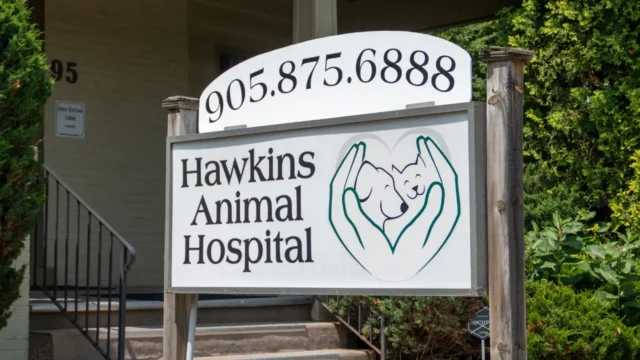 Hawkins Animal Hospital