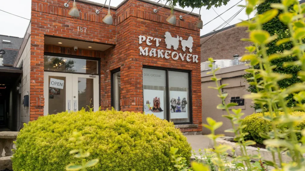 Pet Makeover