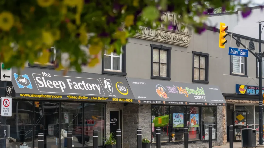 The Sleep Factory